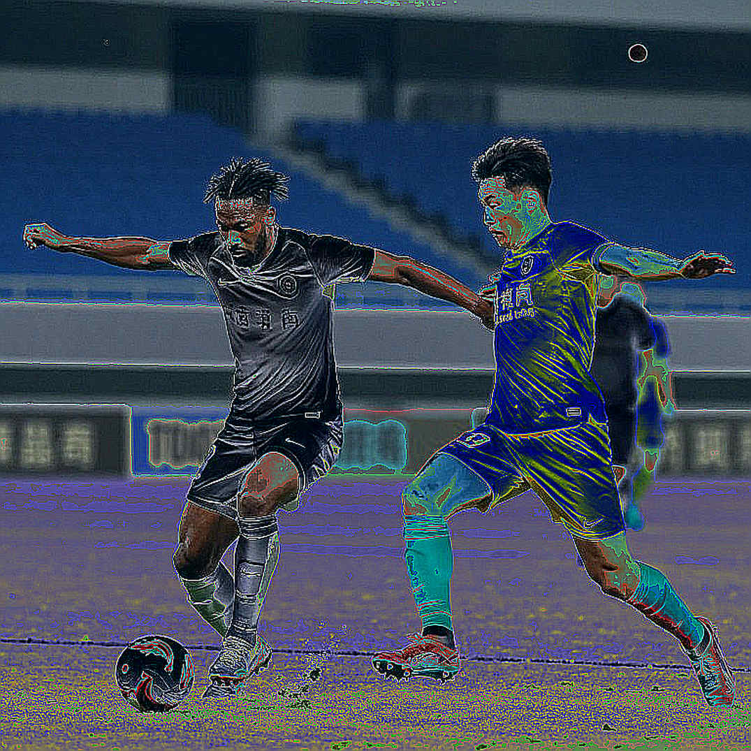 Veerman or De Jong: The Dutch Midfield Call Belongs to the Coach, Not the Pundits