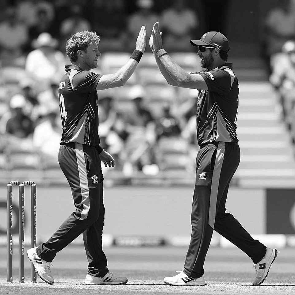 Reading an Empty Data Sheet: When Cricket's Numbers Don't Arrive, What Memory Says Reading an Empty Data Sheet: When Cricket's Numbers Don't Arrive, What Memory Says